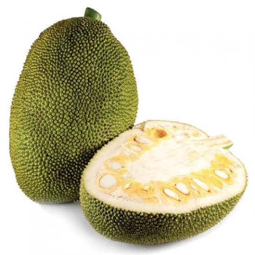 63-d6-jackfruit-529x500