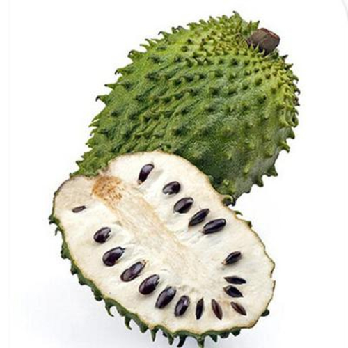 soursop (1)